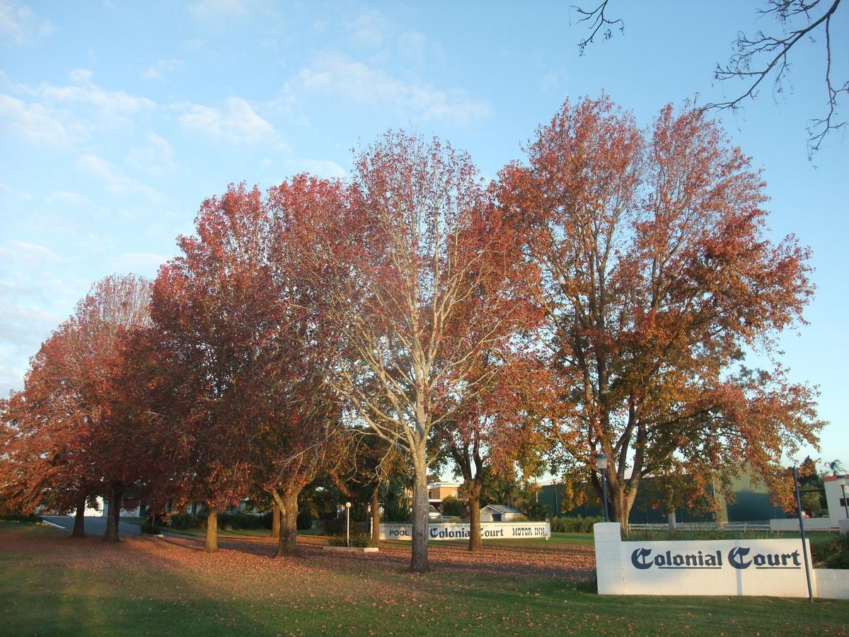 Colonial Court Motor Inn Kempsey Exterior foto